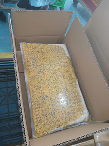 เนื้อเสาวรสแช่แข็งแบบเป็นก้อนสำหรับโรงงานผลิตเครื่องดื่มและผู้ซื้อขายส่ง พร้อมการจัดหาคุณภาพที่สม่ำเสมอ - Product Image 2