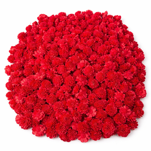 Fleurs en bois de Sola faites à la main, couleur rouge, en vrac, fleurs décoratives pour la décoration de mariage, arrangements floraux DIY - Product Image 1