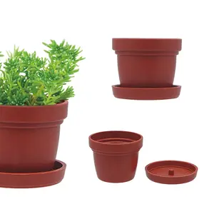 Mini planter to nursery cactus succulent plant