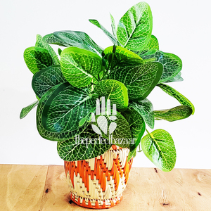 Jardinière en herbe Moonj colorée, tressée à la main, sculptée - Product Image 2