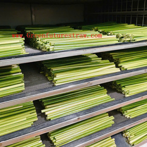 Accesorios de barra de pajitas desechables biodegradables ecológicas al por mayor para bebidas del mercado japonés - Product Image 4