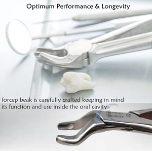 Pince orthodontique dentaire en acier inoxydable, forceps, pince à nez, lèvres, oreilles, pince de corps pour clinique vétérinaire et dentaire - Product Image 3