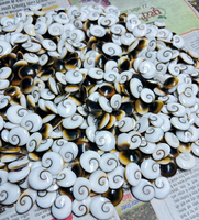 Pierres précieuses ASHU GEMS de haute qualité, œil de Shiva, pierres précieuses naturelles en vrac, cabochons de formes variées, 20-50 mm, certifiées par une tierce partie, Rajasthan