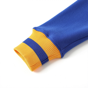 Sweat-shirt à col rond en chenille SGRho bleu et or de qualité supérieure, lettres grecques brodées pour les sororités et les fraternités, en molleton de coton - Product Image 5