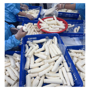 Racine de manioc surgelée en gros |   Directement du fabricant vietnamien - Product Image 1