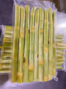 Bâtonnets de canne à sucre naturels surgelés, fournisseur du Vietnam, qualité supérieure, canne à sucre surgelée de qualité alimentaire, vente en gros, exportateur - Product Image 4