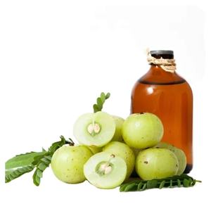 Set de Cuidado Capilar con Aceite de Amla Orgánico de Alta Demanda, Biotina para el Crecimiento del Cabello, Champú y Acondicionador Vegano con Aceite de Menta, Tratamiento para el Recrecimiento del Cabello - Product Image 1