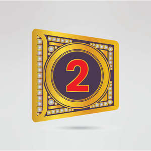 Cinturón de Campeonato de Lucha Libre Personalizado, Plateado en Metal Morado, Diseño Personalizable de Cuatro Lados, Placa Central Dorada Intrincada con Logotipo de Águila - Product Image 4