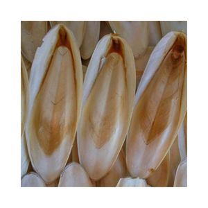 Os de seiche entiers 100 % naturels séchés du Vietnam, riches en calcium, pour oiseaux, reptiles, tortues et escargots – Sans OGM - Product Image 2
