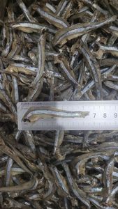 Anchoas Secas de Primera Calidad 2026, 100% de Vietnam, Estándar de Exportación - Product Image 1