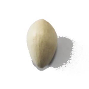 Graines <span class=keywords><strong>de</strong></span> <span class=keywords><strong>Ginkgo</strong></span> Biloba, Noix <span class=keywords><strong>de</strong></span> <span class=keywords><strong>Ginkgo</strong></span> Séchées Brutes et Feuilles <span class=keywords><strong>de</strong></span> <span class=keywords><strong>Ginkgo</strong></span> - Aucun Extrait Inclus - Product Image 2