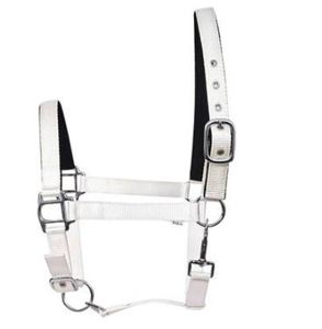 Cabestro para Caballo de Alta Calidad, Suave y Cómodo para Usar en la Establa Mientras se Cepillan y se Prepara el Caballo, al Mejor Precio por Exportador - Product Image 2