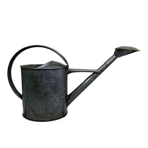 Arrosoir en acier galvanisé avec long bec et pulvérisateur amovible, résistant à la rouille, en métal robuste pour jardin - Product Image 1