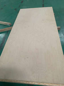 Venta al por mayor de madera contrachapada con revestimiento fenólico de grado DD, fabricada en Vietnam, con chapa de abedul para uso en muebles y construcción. - Product Image 4