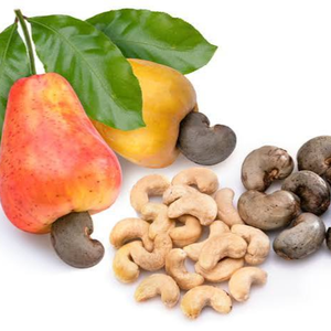Nueces de cacho de tigre tostadas y saladas de Vietnam A180 A240 con cáscara, grado de exportación OEM ODM, envasadas al vacío para suministro global - Product Image 6