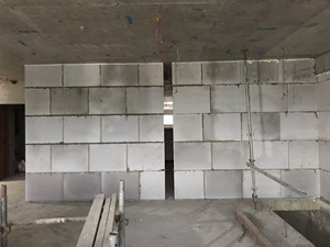 Mejor Precio en Paneles de Concreto EBLOCK ALC, Impermeables, Diseño Industrial, Solución Total, Soporte Técnico en Línea, Directamente de Vietnam - Product Image 2