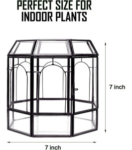 Terrario de Vidrio de Alta Calidad, Elegante Decoración de Mesa o Centro de Mesa para una Presentación con Estilo - Product Image 5