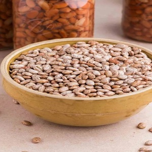 Frijoles Pinto Premium Disponibles a Precio de Mayoreo para Proveedores de Alimentos de Calidad, Restaurantes, Minoristas y Tiendas de Comestibles en Todo el Mundo - Product Image 3