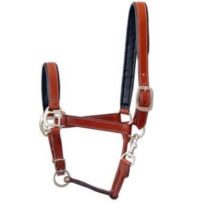 Bridon en cuir de cheval avec rênes, équipement équestre durable, bridon en cuir véritable, ajustement confortable pour l'équitation - Product Image 1