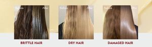Acondicionador Capilar en Crema con Extracto Herbal Nutritivo para Uso en el Hogar, con Hidratación Optimizada, Humectante y Suavizante para Todo Tipo de Cabello - Product Image 4
