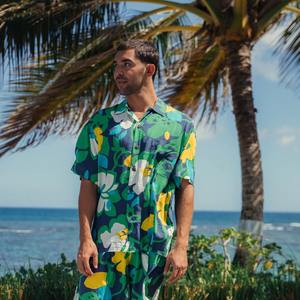 Chemise de plage pour homme à manches courtes, imprimé tropical, décontractée, boutonnée, légère et colorée, idéale pour les vacances d'été et la plage - Product Image 3