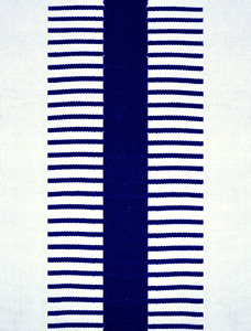Alfombra de Camping a Rayas para Exteriores, Rectangular, Azul Marino y Blanco, Tejido Plano, Antideslizante, Estilo Moderno, Delgada, de Poliéster PET, Apta para Mascotas - Product Image 3