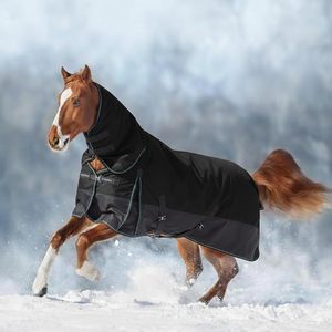 Couverture de dressage pour cheval en polaire, légère, avec rembourrage en coton, disponible en toutes les couleurs, pour le printemps et l'automne |   Machine durable et confortable - Product Image 6