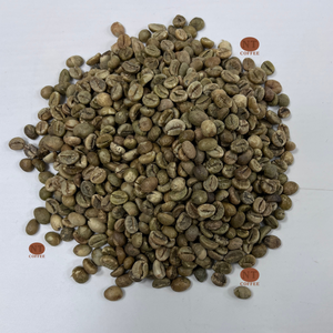 Top Quality Vietnam Robusta Green Coffee <b>Beans</b> Screen 16 Bold Flavor High Caffeine Wholesale Bulk Supply for Roasting Industry - Product Image 1