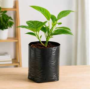 Sacs de culture respirants en tissu non tissé de 15 gallons, résistants, pour plantes, légumes, fruits, fleurs, jardinage à domicile et en extérieur - Product Image 3