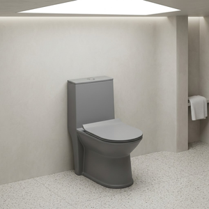Inodoro Moderno de Una Pieza con Acabado Mate en Gris Cemento, Alargado, de Cerámica, Montado en el Suelo, con Sifón S/P - Product Image 6