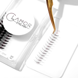 Wispy 5D 8-16mm curl C CC D M Ultra-vitesse naturel Promade Eye Lashes Premade Volume Fans Silk Eyelash Extension Pré Made Fans - Product Image 4