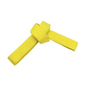 Cinturón Amarillo de BJJ para Jóvenes, Cinturón de Jiu Jitsu, Ancho Estándar, Cinturón de Artes Marciales de Algodón, Equipo de Ranking Personalizado para Academias - Product Image 1