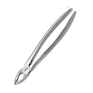Forceps d'extraction dentaire en acier inoxydable avec poignée moletée, instrument chirurgical manuel de classe I - Product Image 2