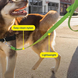 สายจูงสัตว์เลี้ยงคุณภาพพรีเมียม วัสดุทนทาน พร้อมตะขอแข็งแรง ด้ามจับสบายมือ สำหรับการเดินเล่นประจำวัน การฝึก และการเดินทางกลางแจ้ง - Product Image 3