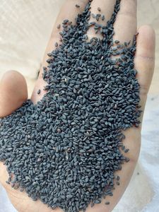 งาดำสดใหม่ ดีไซน์โดดเด่น ปลูกจากฟาร์ม เหมาะสำหรับทำอาหาร ผลิตภัณฑ์เบเกอรี่ ซอส และเครื่องปรุงรส มีจำหน่ายในราคาพิเศษ - Product Image 3