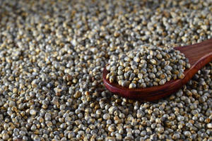 Farine de bajra, matière première - Product Image 2