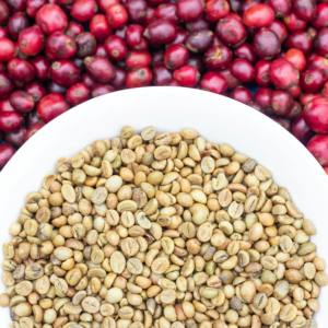 Grains de café biologiques de qualité supérieure en vrac, vente en gros, processus de sélection, taux de maturité élevé, saveur douce et arôme riche, ferme du Vietnam - Product Image 2