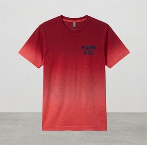 T-shirt de sport pour homme Hawk Eye de qualité supérieure, doux, respirant, anti-rides, pour l'entraînement physique et le quotidien, imprimé bleu - Product Image 6
