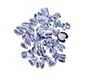 Dendrite โอปอลควอทซ์อาเกต Cabochon คู่พลอย Cabochon คุณภาพสูงสำหรับเครื่องประดับอัญมณีในราคาโรงงานสำหรับต่างหู - Product Image 6