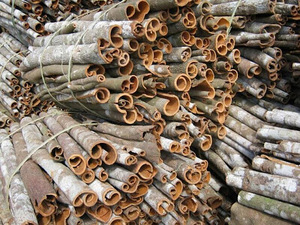 Palitos de canela al por mayor con precio superior de fábrica de Vietnam - Product Image 3