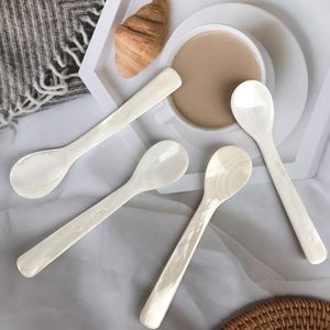 Cuillère en nacre écologique, cuillère en coquille faite à la main, vaisselle naturelle et durable, fabricant en gros sur mesure - Product Image 1