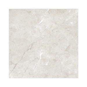 Cannon Gris 600x600mm Acabado brillante Azulejos de porcelana Diseño moderno para pared interior para apartamento Baño Supermercado Escuela - Product Image 1