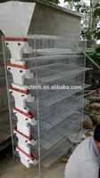 Cage d'élevage automatique pour 200-300 cailles/ensemble HJ-QC400A