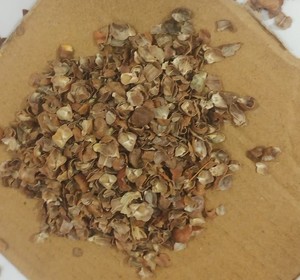 Peau de haricot noir Desi séchée 100% naturelle pour l'alimentation des bovins et du bétail, paquet de 50 kg - Product Image 3