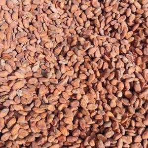 Fèves de cacao de qualité supérieure, commandes en gros, qualité alimentaire, prêtes à être expédiées, fournisseur d'exportation fiable - Product Image 1
