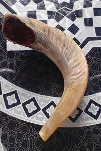 Shofar en corne de bélier Kudu, shofar en corne de bélier poli, shofar artisanal naturel, instrument en corne de bélier, shofar en corne de Kudu, shofar juif - Product Image 4