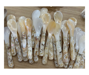 Cuchara de Concha Marina Hecha a Mano de Primera Calidad, Origen Vietnam - Utensilio de Concha Natural para Servir y Decorar la Mesa - Product Image 3