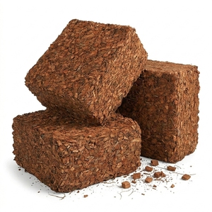 Bloques de Fibra de Coco para Hidroponía, Tierra para Macetas, para Flores y Jardín, Orgánica, Empacada en Palés, Vida Útil de 5 Años, Precio al por Mayor - Product Image 3
