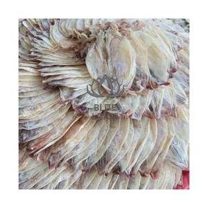 Superventas 2026: Calamar Seco para Desayunos, Aderezos y Guarniciones. Puro, Fresco del Océano, Procesamiento Limpio, Alimentos Seguros en Paquetes, Entero. - Product Image 1