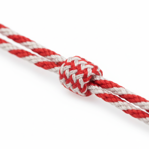 Cordons de chapeau torsadés en viscose et Mylar, style classique, personnalisables avec logo et motif, finition enduite, vente en gros - Product Image 2